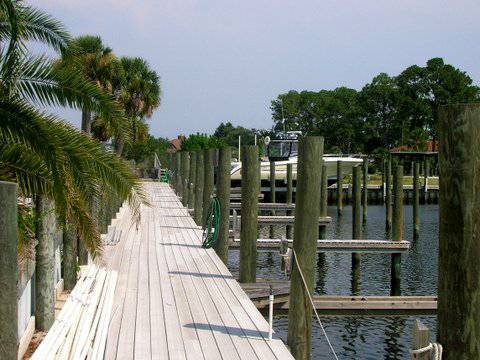 Harbourage Yacht Club ,Marina Boat Dock & Slip Rentals - BoatNation