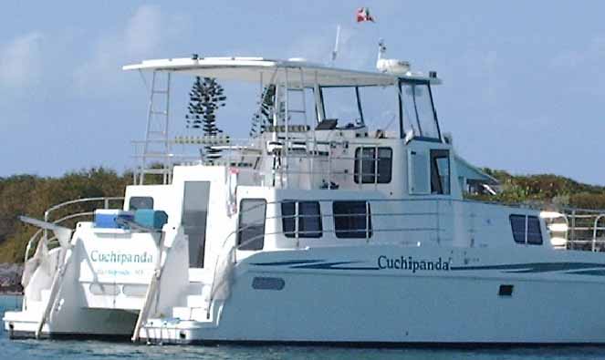 catamaran corporation wiki